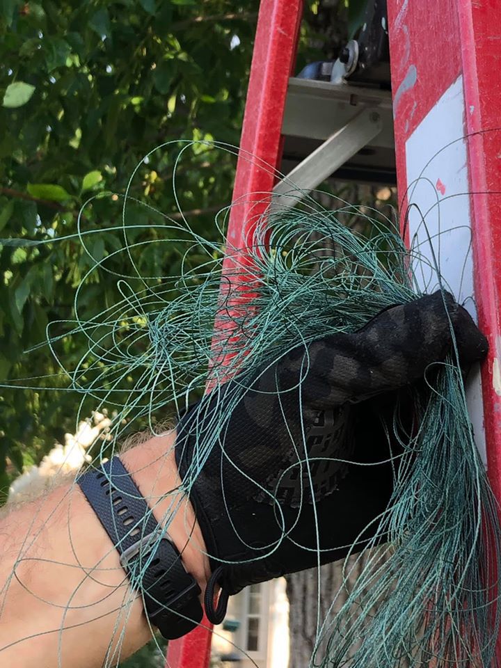 Osprey Rescue-3